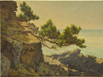 immagine articolo