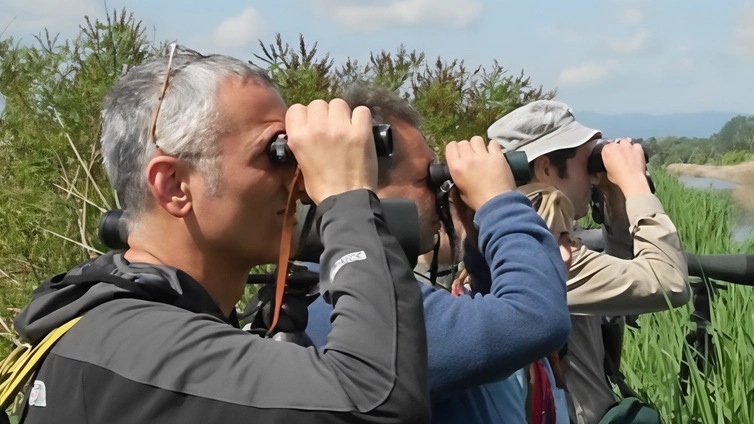 L'Oasi naturale di Arnovecchio a Empoli riapre al pubblico con una visita guidata domenicale alla scoperta dell'Estate del Martino. Possibilità di avvistare il Martin pescatore e altre specie di uccelli, accompagnati dal canto delle cicale. Prenotazione obbligatoria. L'Oasi naturale di Arnovecchio a Empoli riapre al pubblico con una visita guidata domenicale alla scoperta dell'Estate del Martino. Possibilità di avvistare il Martin pescatore e altre specie di uccelli, accompagnati dal canto delle cicale. Prenotazione obbligatoria.