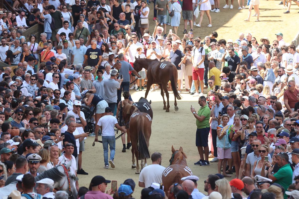 Siena, assegnati i cavalli per il Palio dell’Assunta: la sorte bacia le contrade rivali Siena, assegnati i cavalli per il Palio dell’Assunta: la sorte bacia le contrade rivali