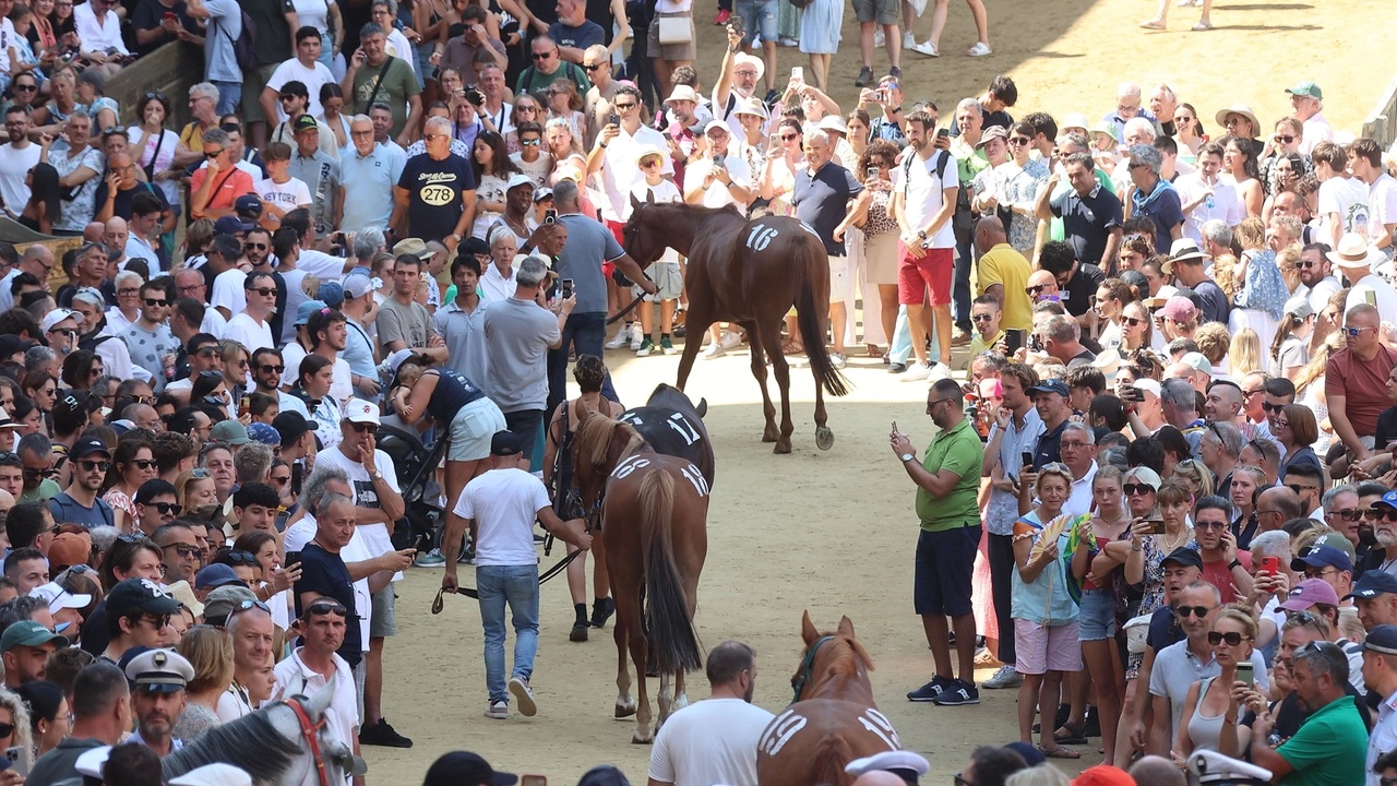 Assegnazione per il Palio dell'Assunta (Foto Fabio Dipietro) Assegnazione per il Palio dell'Assunta (Foto Fabio Dipietro)
