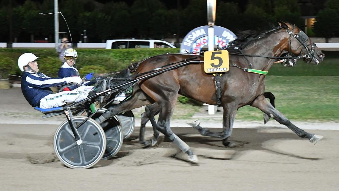 Serata di gala all’ippodromo. Il Sesana si accende con il Bellei Serata di gala all’ippodromo. Il Sesana si accende con il Bellei