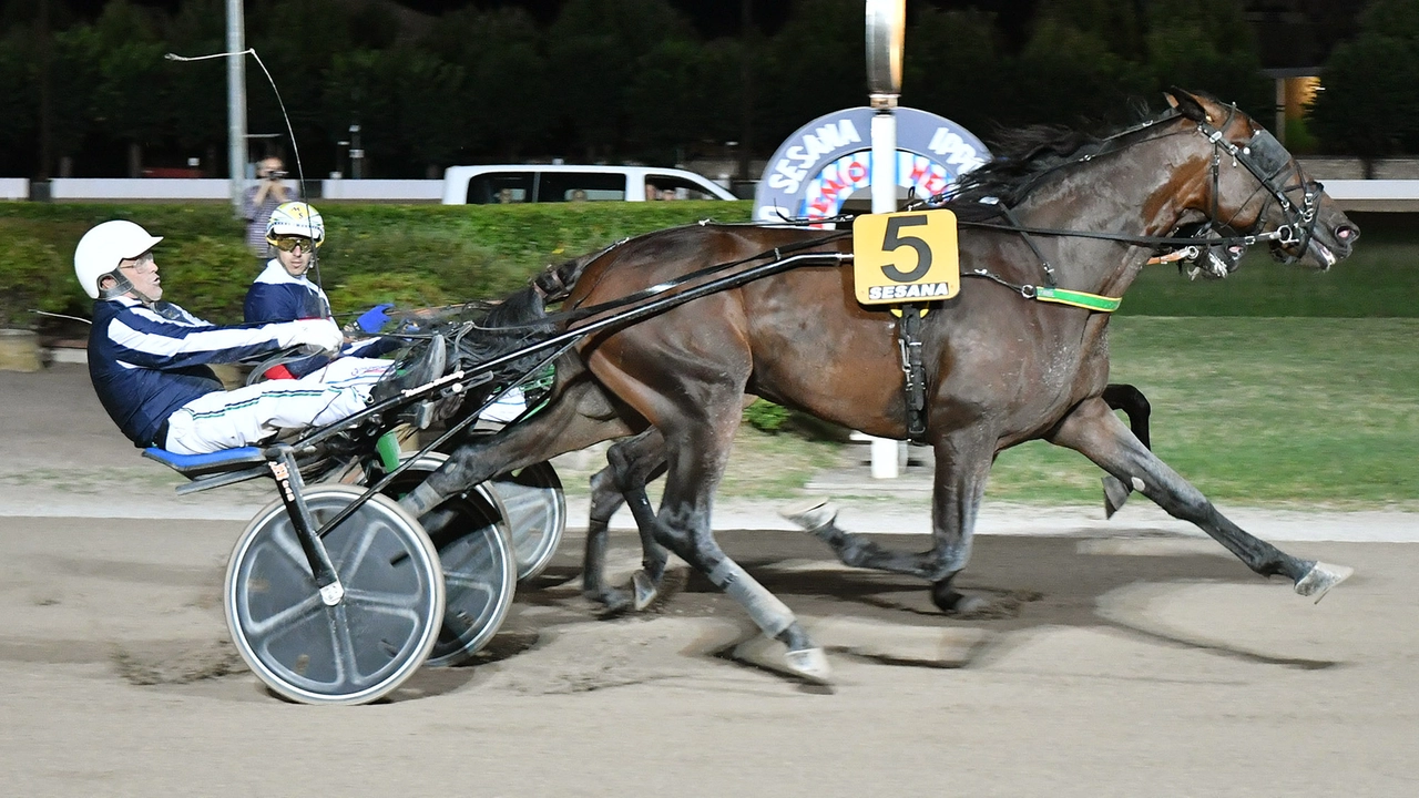 Era dal 2017 che Enrico Bellei non vinceva il Gran Premio intitolato al padre, lo scorso anno ci è riuscito grazie al contributo del suo allievo Enock