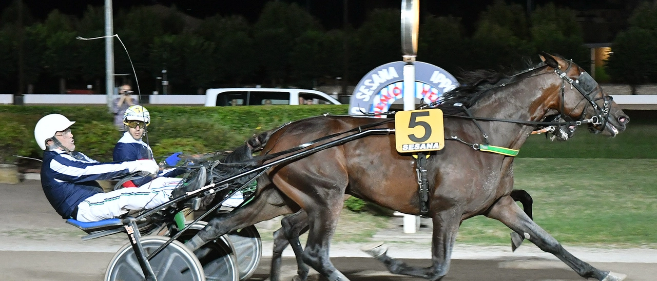 Serata di gala all’ippodromo. Il Sesana si accende con il Bellei