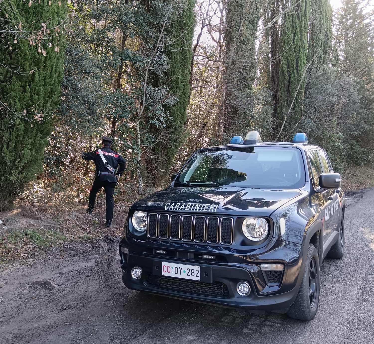 Blitz antidroga nei boschi. Operazione dei carabinieri Blitz antidroga nei boschi. Operazione dei carabinieri