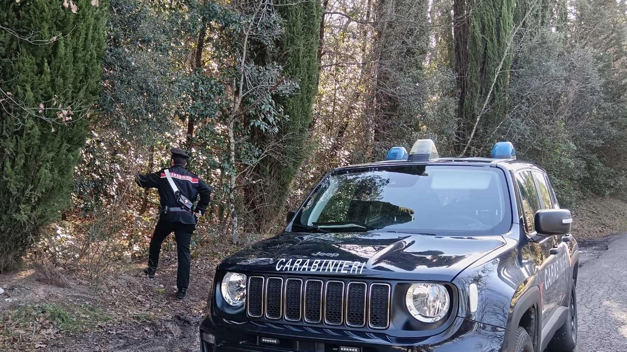 I carabinieri in azione nei boschi della Valdelsa per la lotta allo spaccio I carabinieri in azione nei boschi della Valdelsa per la lotta allo spaccio