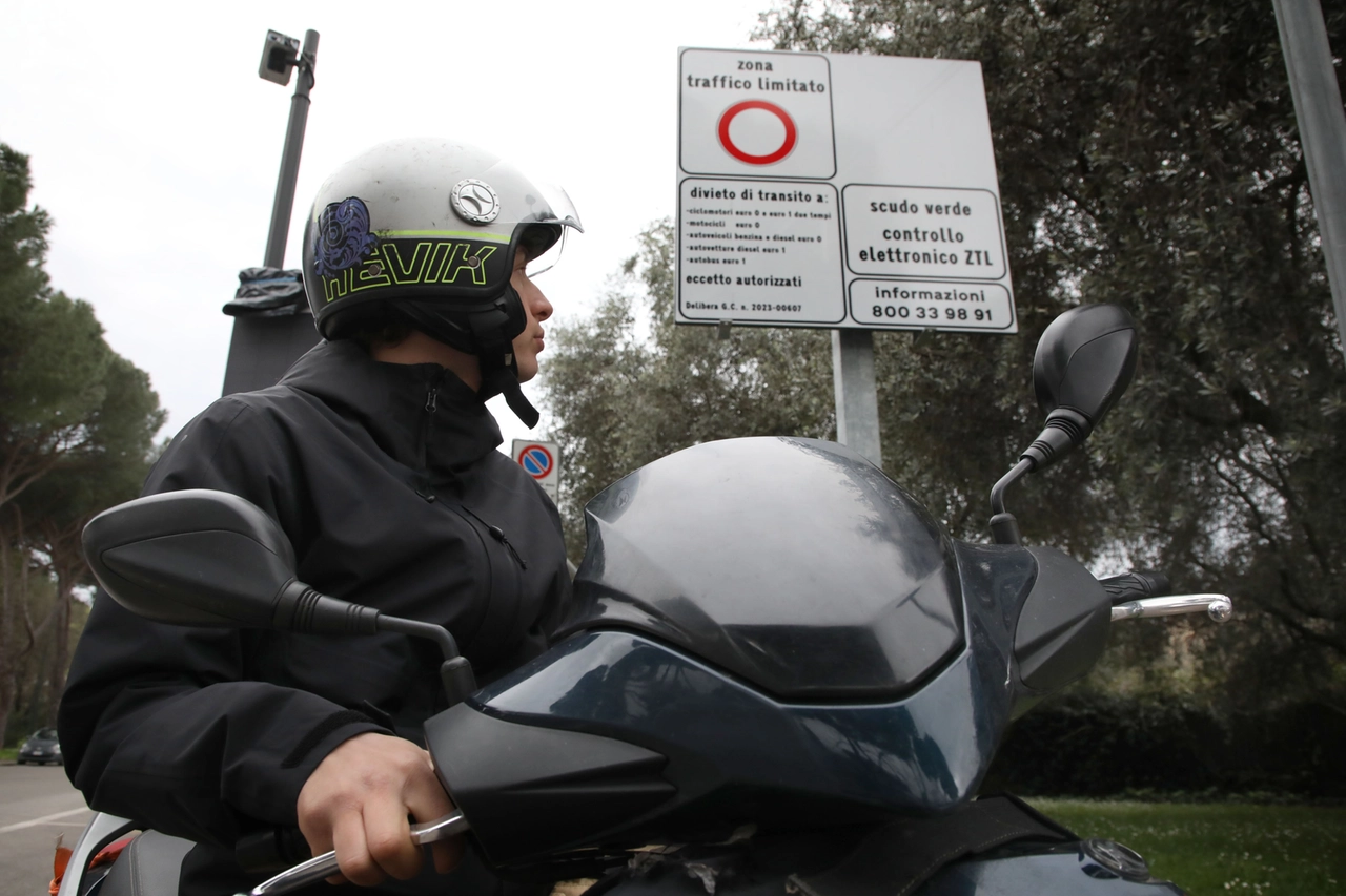 FE_SCUDO_VERDE001-96256493