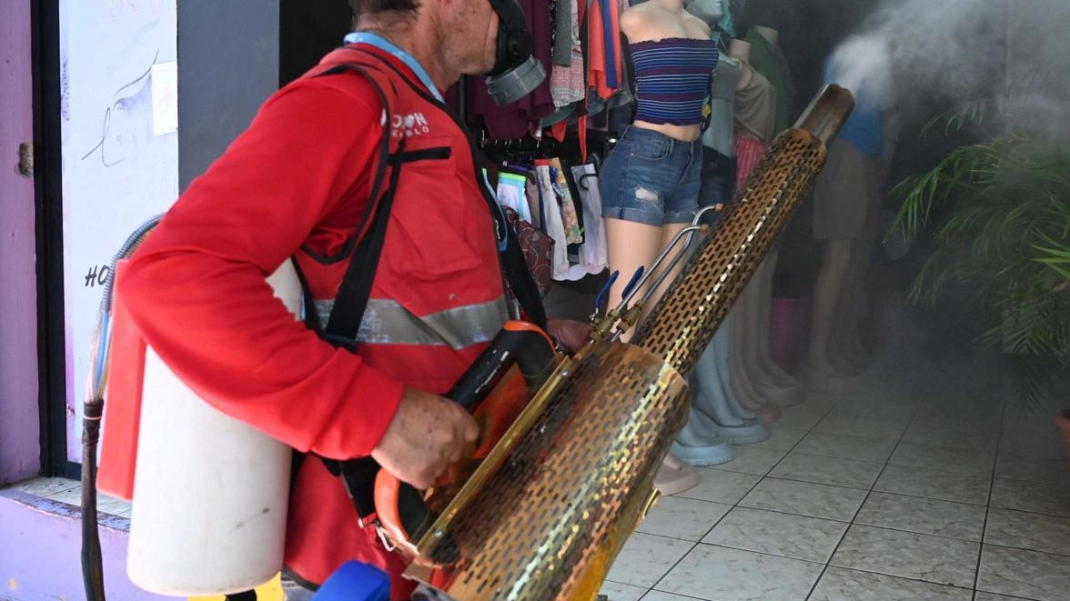 Gli addetti di Alia al lavoro dopo la scoperta di tre casi, di cui uno autoctono (il primo in Toscana). Il trattamento andrà avanti anche nei prossimi giorni: cosa bisogna fare per non correre rischi. Gli addetti di Alia al lavoro dopo la scoperta di tre casi, di cui uno autoctono (il primo in Toscana). Il trattamento andrà avanti anche nei prossimi giorni: cosa bisogna fare per non correre rischi.