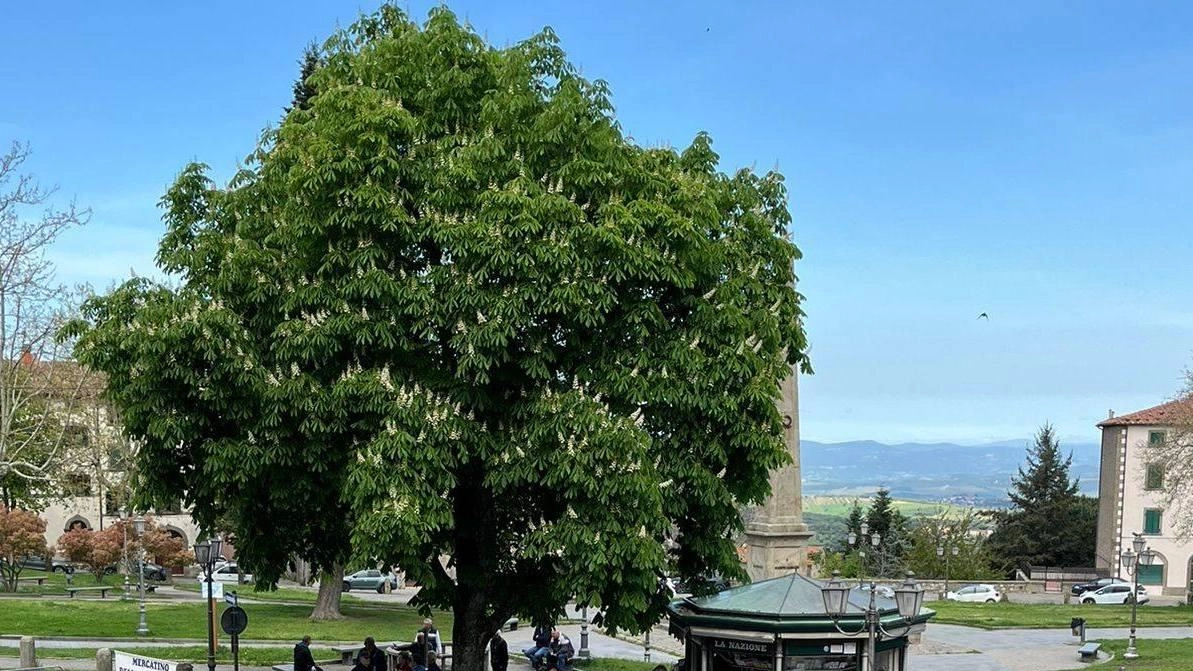 Uno dei punti di Castel del Piano interessati dai lavori di restyling decisi dall’amministrazione comunale dopo anni di «incuria», interventi sono programmati anche nei parchi e in piazza Garibaldi (Foto di archivio)