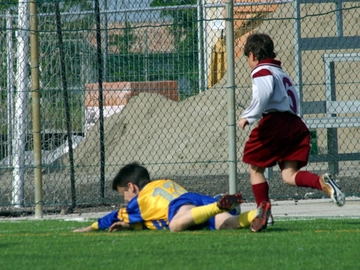 immagine articolo