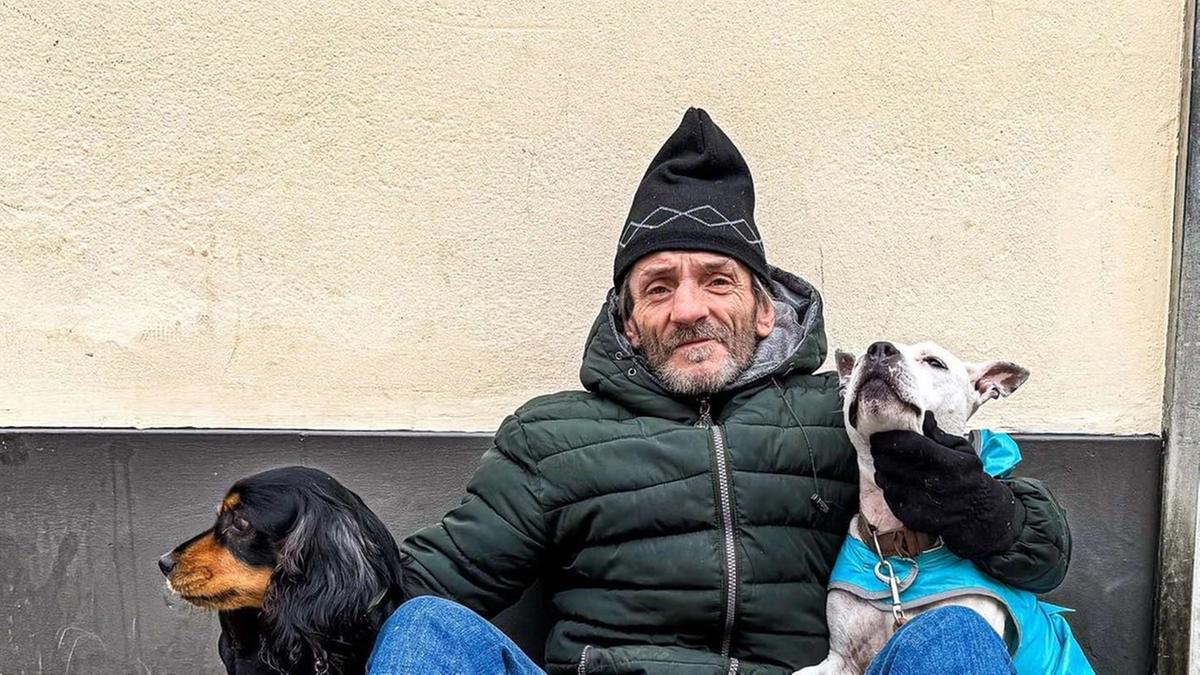 Bimba morsa dal cane, parla il proprietario. “Sono molto dispiaciuto, toglietemi dalla strada”