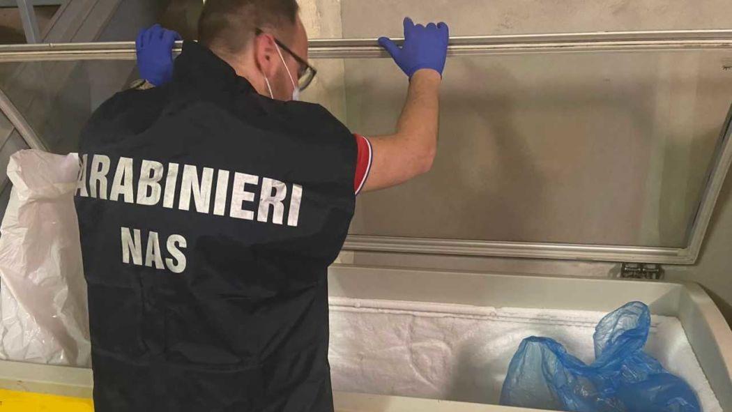 ispezione dei nas in un agriturismo chiusa la piscina e scatta la multa