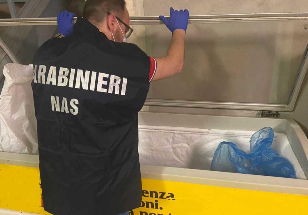 Ispezione dei Nas in un agriturismo, chiusa la piscina. E scatta la multa