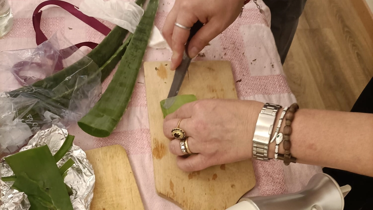 “L’Orto Facile per tutti”, un pomeriggio di incontro e condivisione dedicato all’orticoltura naturale e al riconoscimento delle erbe spontanee