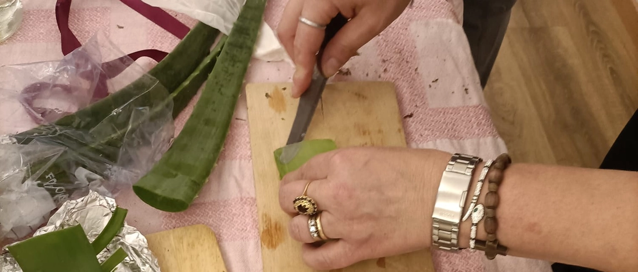 “L’Orto Facile per tutti”, un pomeriggio di incontro e condivisione dedicato all’orticoltura naturale e al riconoscimento delle erbe spontanee