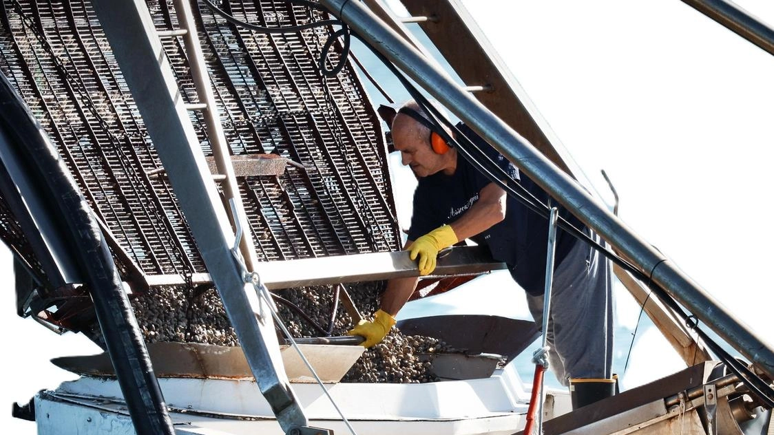 Il settore della pesca in tutta Italia sta attraversando un periodo di forte sofferenza Il settore della pesca in tutta Italia sta attraversando un periodo di forte sofferenza