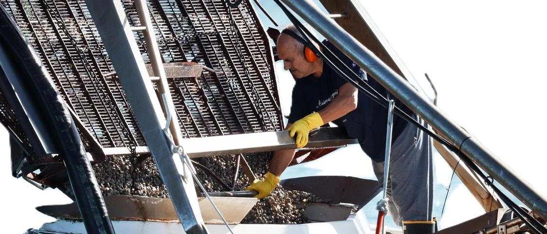 "Soffriamo per il pesce straniero". Coldiretti, allarme mercato locale