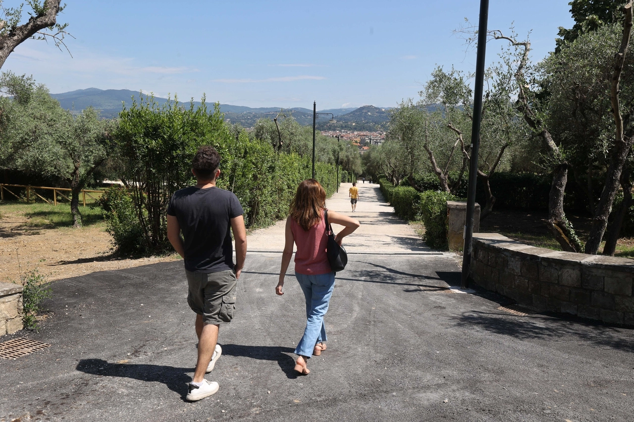 immagine di sfondo 11