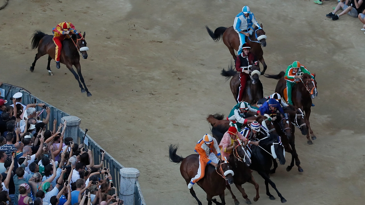 Palio, terza prova (Lazzeroni) Palio, terza prova (Lazzeroni)