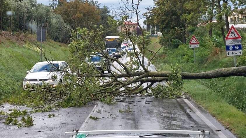 Rischio temporali, allerta su gran parte della Toscana dalle 7 di domenica 13 luglio Rischio temporali, allerta su gran parte della Toscana dalle 7 di domenica 13 luglio