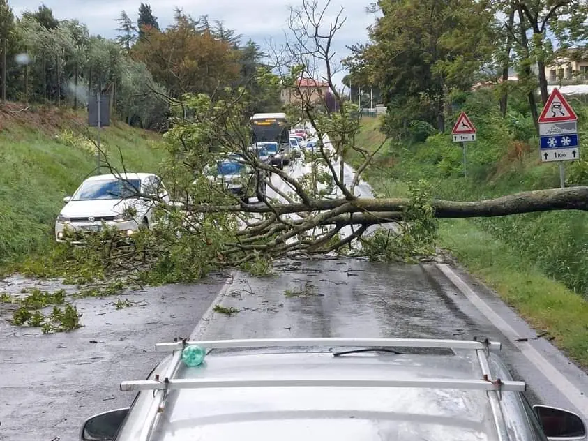 Rischio temporali, allerta su gran parte della Toscana dalle 7 di domenica 13 luglio