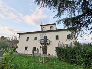 immagine articolo