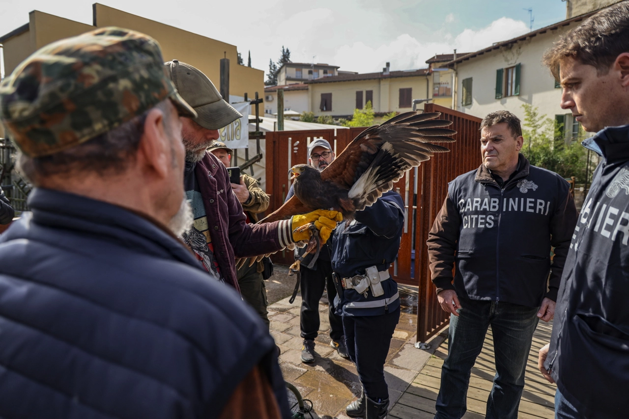 immagine di sfondo 2