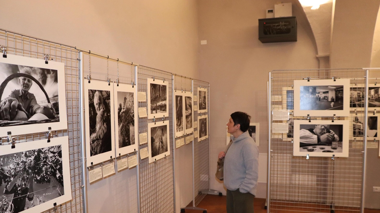 La rassegna di Dantès viene inaugurata oggi. In mostra fotografie che narrano storie quotidiane . La rassegna di Dantès viene inaugurata oggi. In mostra fotografie che narrano storie quotidiane .