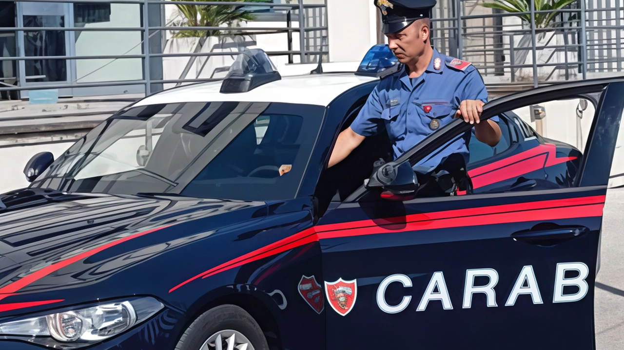 A Civitella, una titolare di un negozio ha impedito un furto di sigarette bloccando i ladri che stavano tentando di caricarle sull'auto. I carabinieri stanno indagando per identificarli tramite le telecamere della zona. A Civitella, una titolare di un negozio ha impedito un furto di sigarette bloccando i ladri che stavano tentando di caricarle sull'auto. I carabinieri stanno indagando per identificarli tramite le telecamere della zona.
