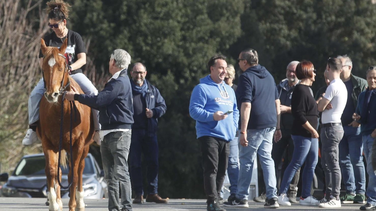 Da Capannori a Fucecchio, il tracciato intercetta uno dei tratti più affascinanti della pianura toscana, arricchito dalla presenza del Padule...