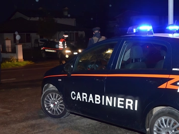 immagine articolo