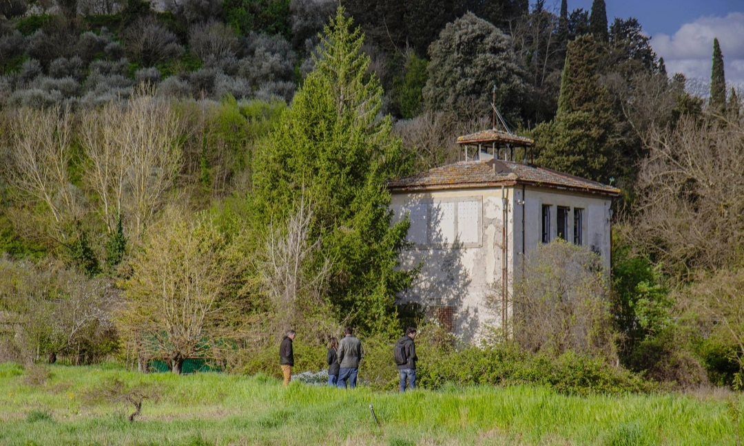 immagine di sfondo 3