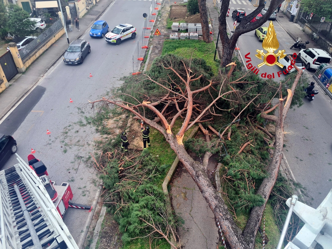 immagine di sfondo 1