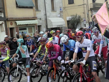 immagine articolo