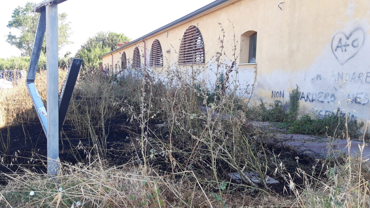 L’area dell’incendio L’area dell’incendio