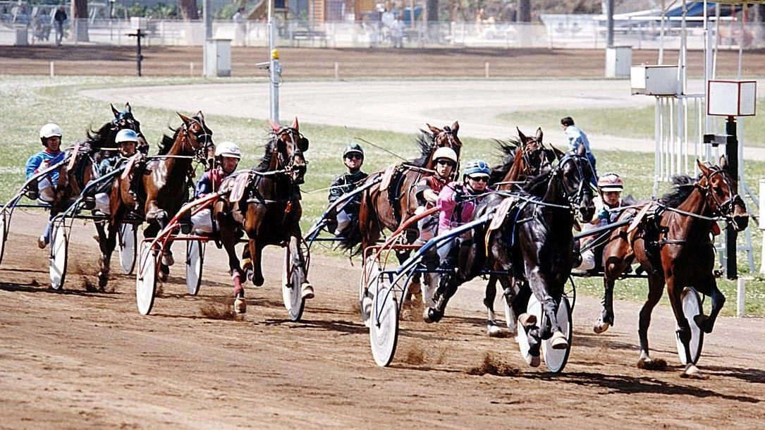 Flutter è diventato proprietario degli ippodromo di Montecatini e Milano Flutter è diventato proprietario degli ippodromo di Montecatini e Milano