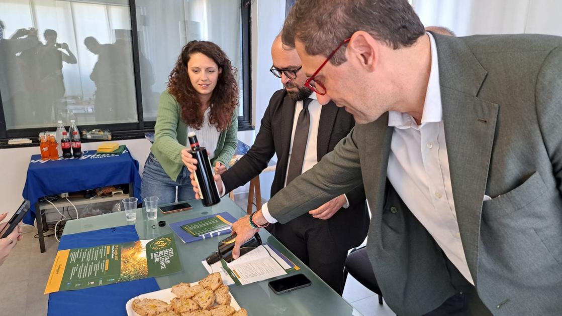 la festa dell extravergine ambiente ed economia il futuro è verde oliva