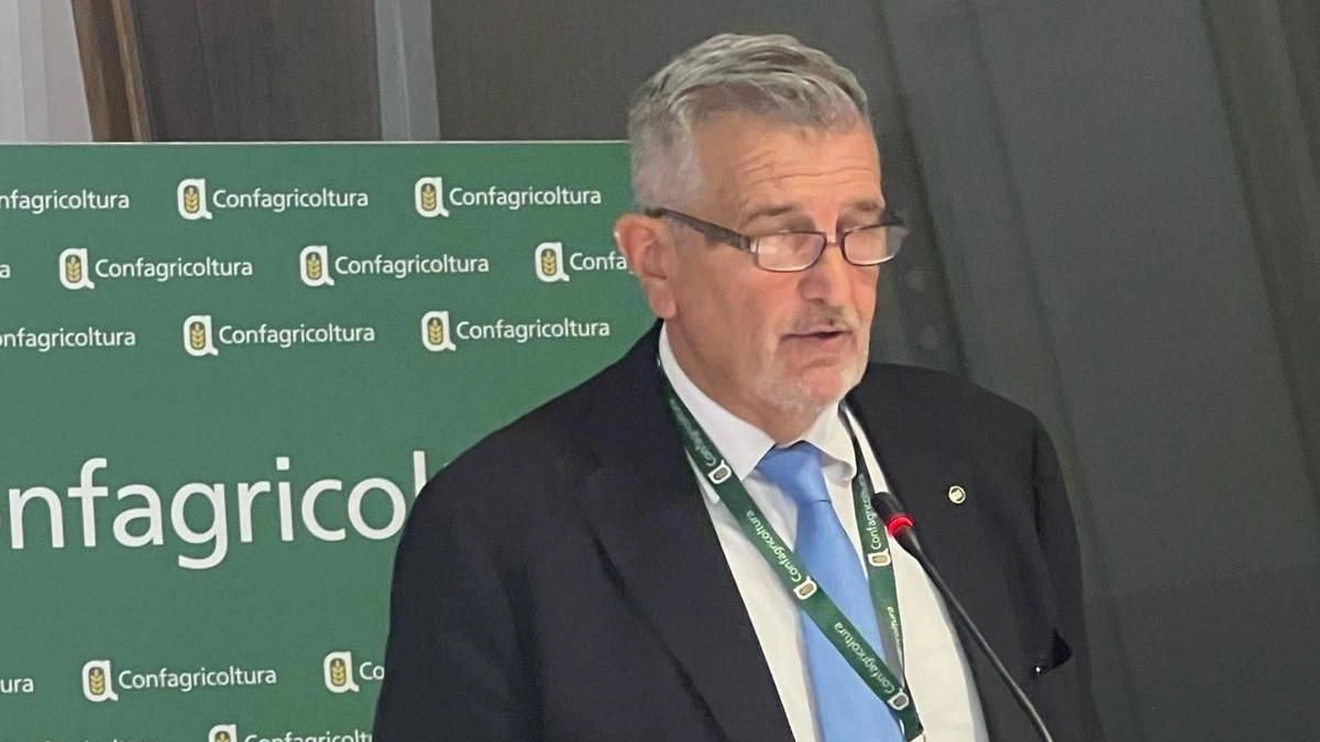 Fabio Rossi