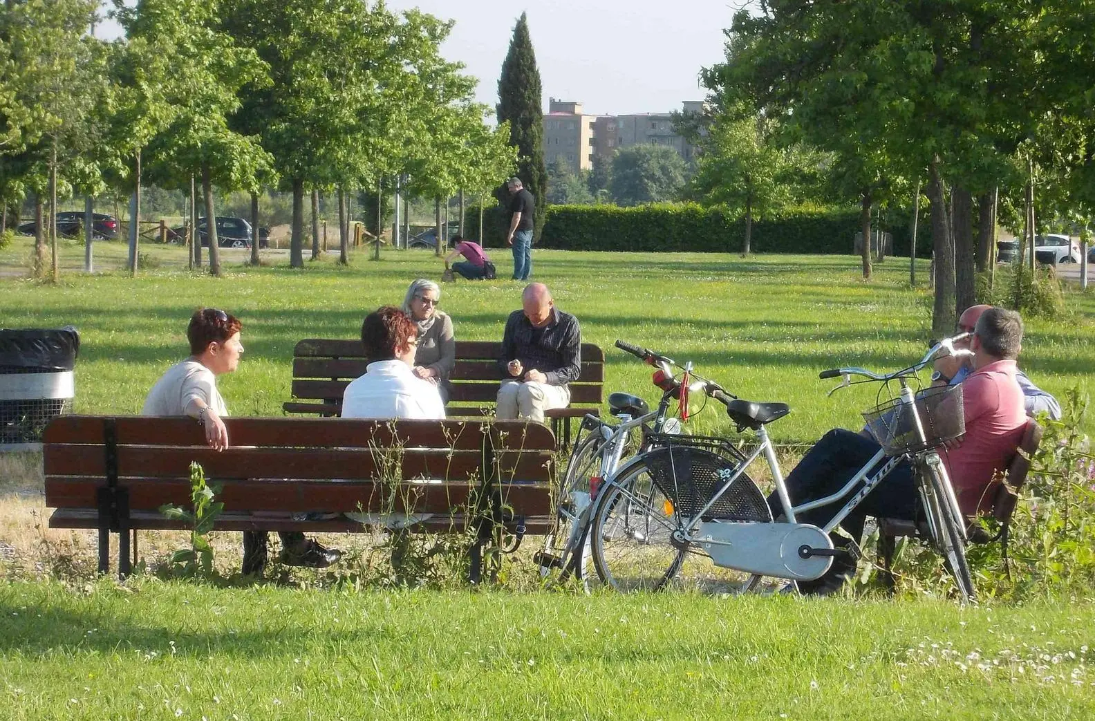 Forestazione urbana con più alberi. Missione verde nell’ex discoteca