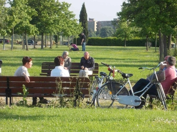 immagine articolo