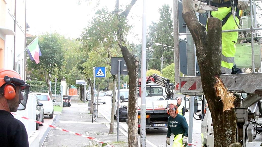 TERNI Domani alle 19 sit-in di protesta davanti al cancello della Passeggiata, sul lato di via Giannelli, per protestare contro... TERNI Domani alle 19 sit-in di protesta davanti al cancello della Passeggiata, sul lato di via Giannelli, per protestare contro...