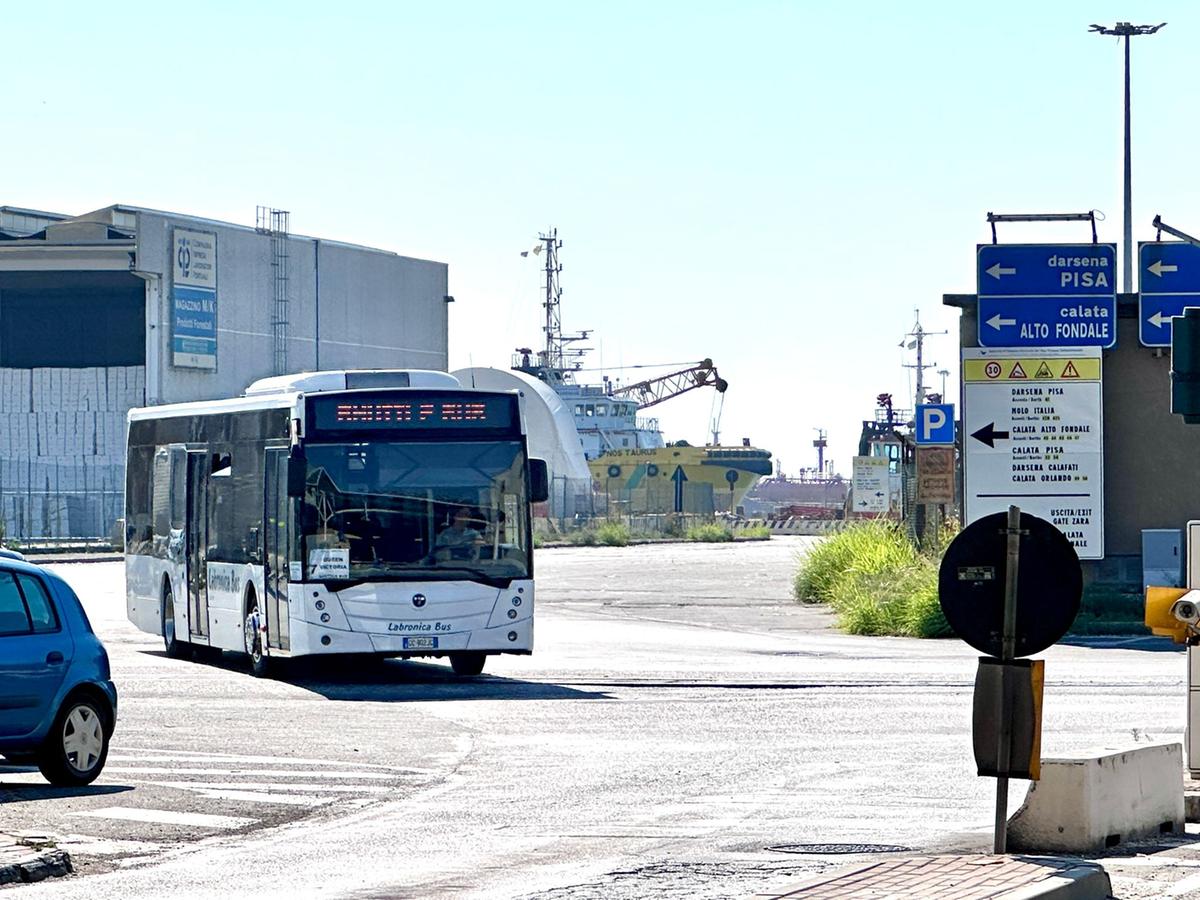 Turisti investiti dal pullman nel porto, vacanza finita in tragedia: morta la donna. Tornavano sulla nave da crociera