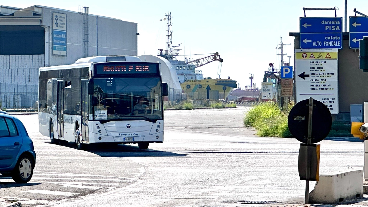 Livorno, l'incidente mortale al porto è avvenuto nel primo pomeriggio di martedì 12 agosto (Foto Novi)
