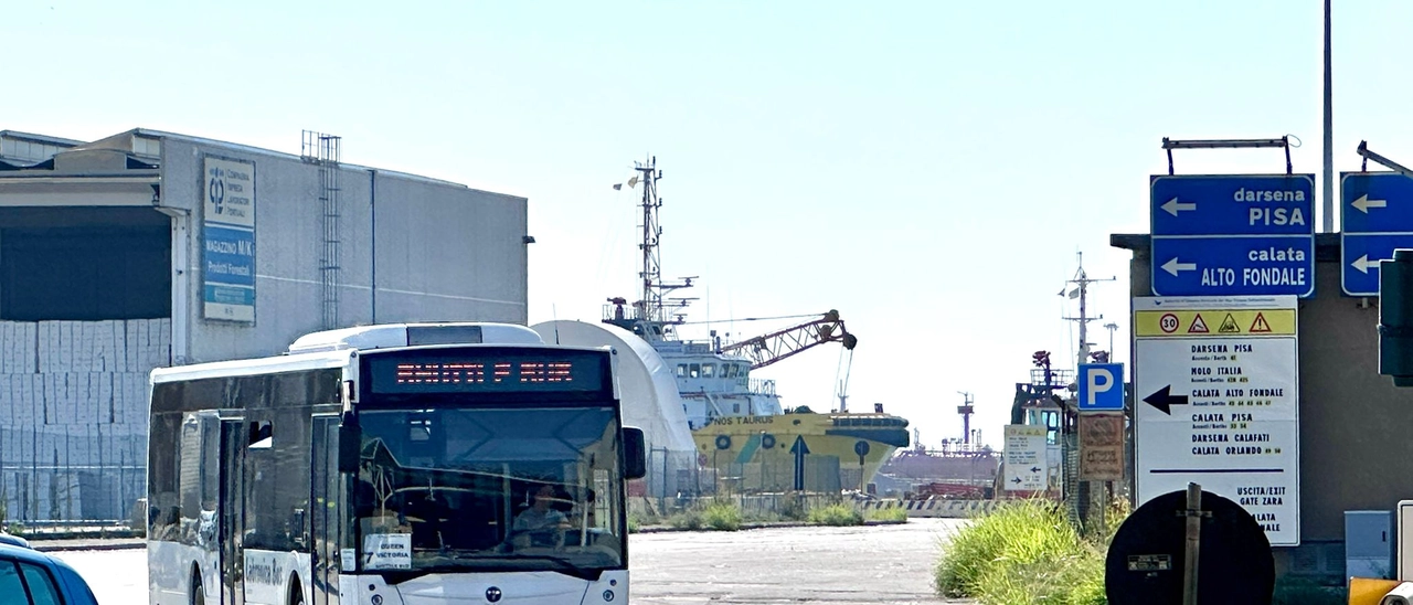 Turisti investiti dal pullman nel porto, vacanza finita in tragedia: morta la donna. Tornavano sulla nave da crociera