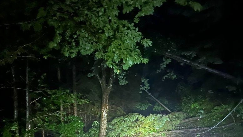 Qualche strada allagata tra periferia e colline "Abbiamo saputo evitare conseguenze gravi". Qualche strada allagata tra periferia e colline "Abbiamo saputo evitare conseguenze gravi".