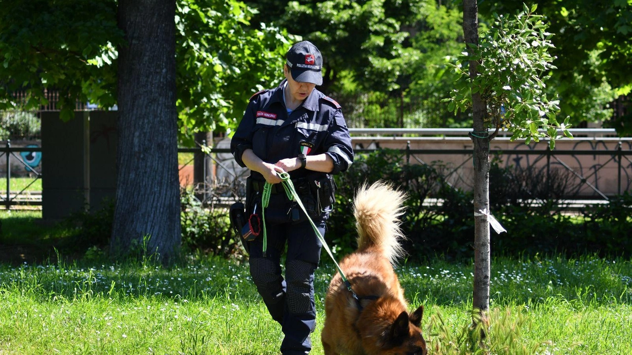 Durante i servizi mirati alle Cascine controllati 12 veicoli e 21 persone Durante i servizi mirati alle Cascine controllati 12 veicoli e 21 persone