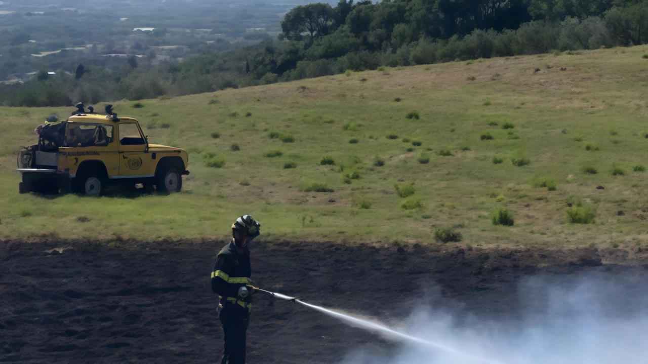 Incendio boschivo a Montemurlo domato dai vigili del fuoco di Prato, evitando danni a ruderi e oliveto. Ultimo di una serie che ha colpito la provincia. Incendio boschivo a Montemurlo domato dai vigili del fuoco di Prato, evitando danni a ruderi e oliveto. Ultimo di una serie che ha colpito la provincia.