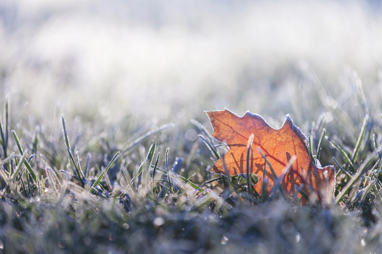 Torna il freddo, temperature in picchiata