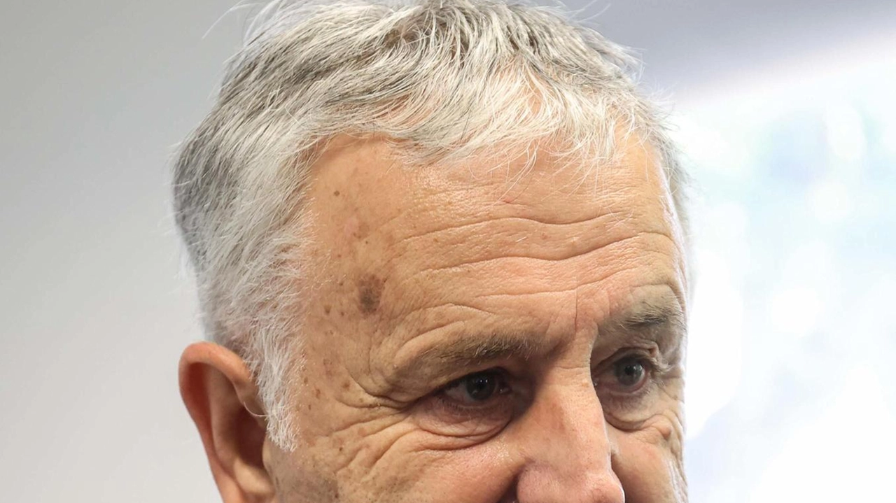 Vincenzo Ceccarelli, Pd Vincenzo Ceccarelli, Pd