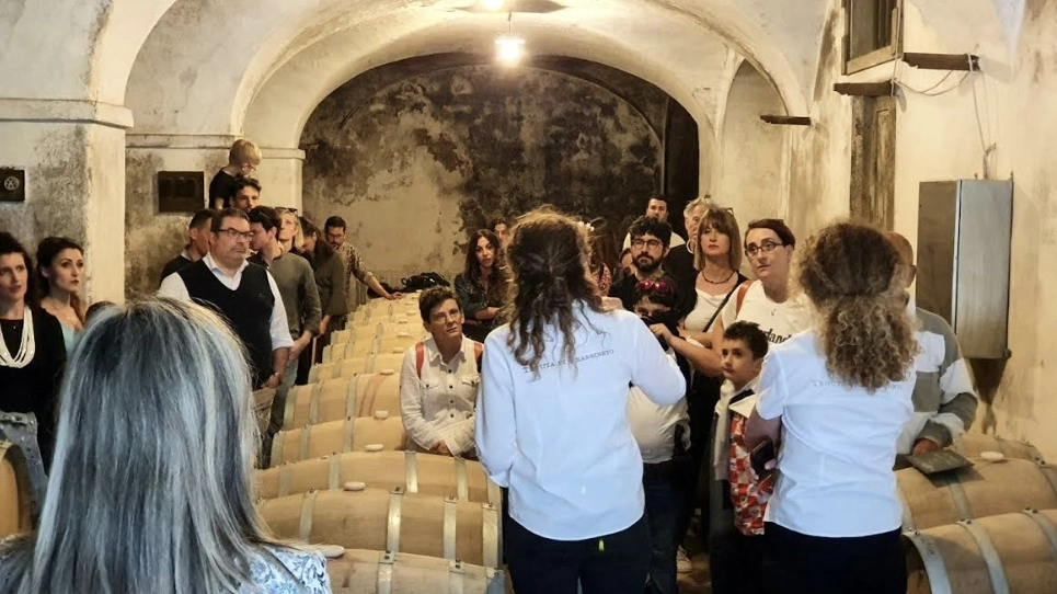 "I giorni del vino" "I giorni del vino"