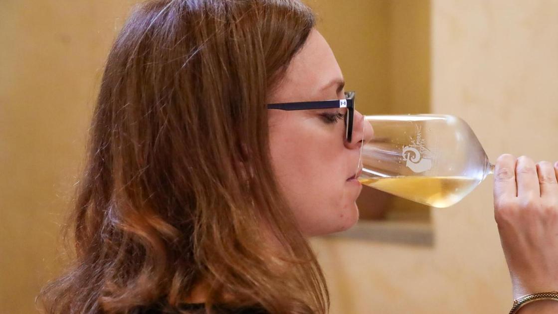 Agroalimentare, lo spettro dazi. Il vino tra i prodotti più a rischio. Meno timori per pasta e olio Agroalimentare, lo spettro dazi. Il vino tra i prodotti più a rischio. Meno timori per pasta e olio